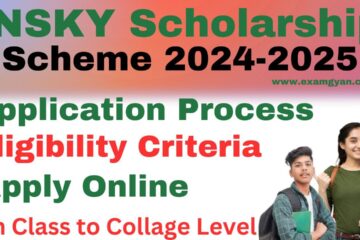 NSKY Scholarship 2024-2025